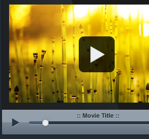 Custom PSD Video Player