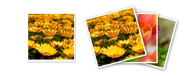 Google Plus Photo Stack Animation using jQuery and CSS3