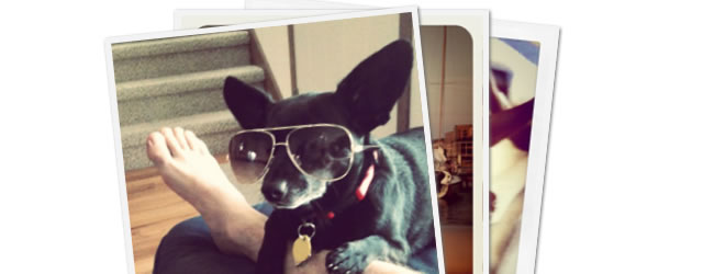 Create a Photo Stack Effect with Pure CSS Animations or MooTools
