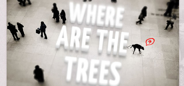 CSS3 Tilt-Shift Text Experiment - Where are the trees