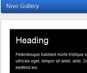 Nivo Gallery