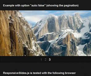 ResponsiveSlides.js