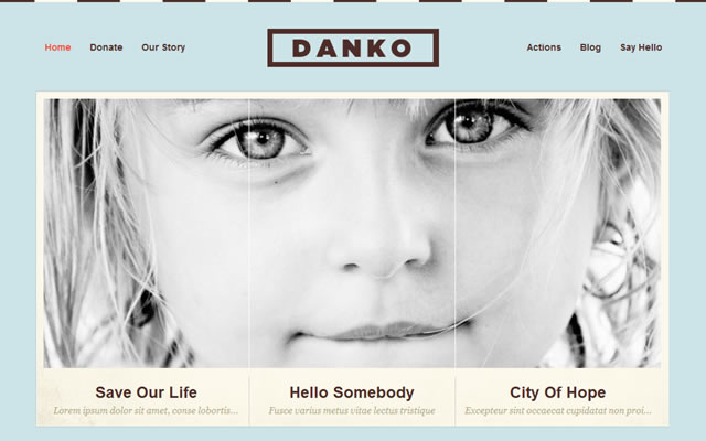 Danko – Free Charity WordPress Theme