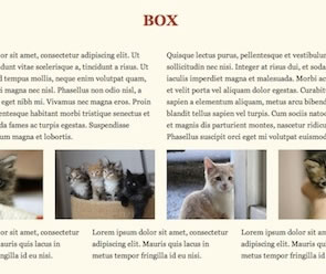 Box CSS