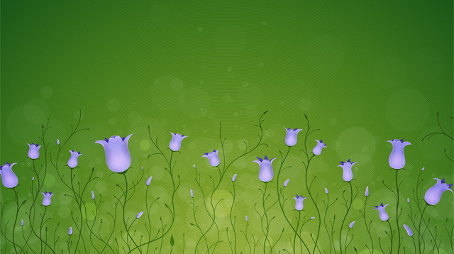 Bluebells