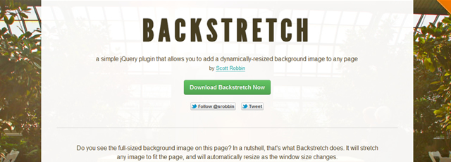 Backstretch