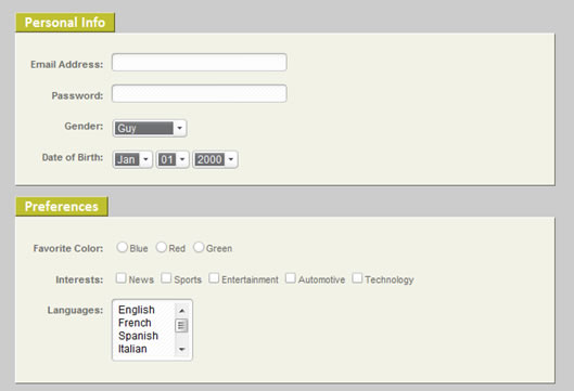 CSS Form Styling