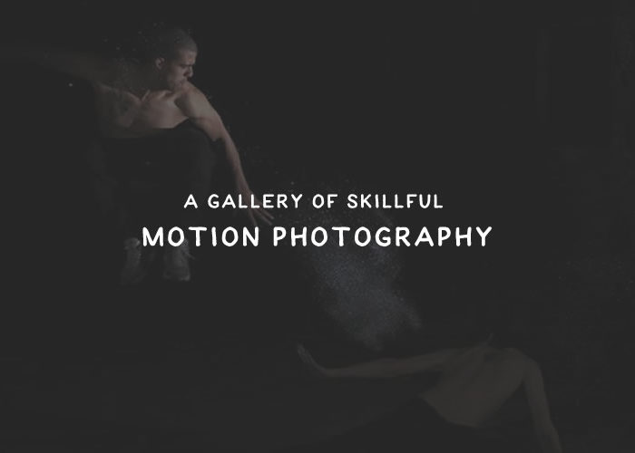 A Gallery of Skillful Motion Photography