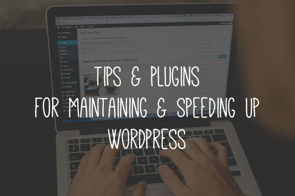 Tips & Plugins for Speeding Up WordPress tips-plugin-wordpress