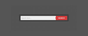 Learn How to Build a Stylish CSS3 Search Box