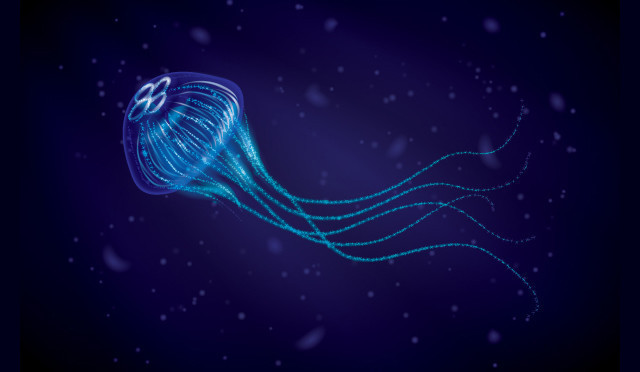 40 Highly Creative Adobe Illustrator Tutorials