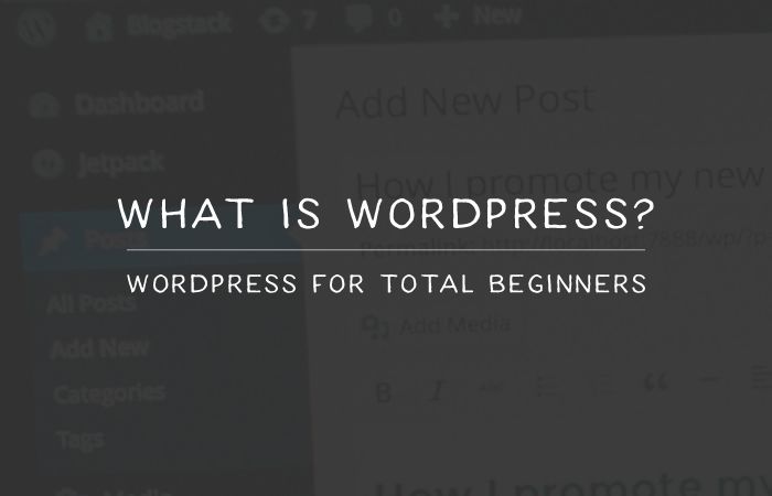 What Exactly is WordPress? what-iswordpress-thumb
