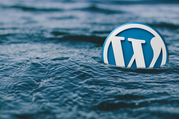 10 Useful Snippets for Improving WordPress Search wordpress-search-thumb