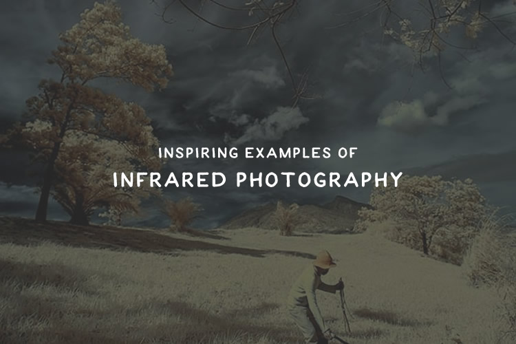 30 Beautiful Examples of Infrared Photography infrared-thumb