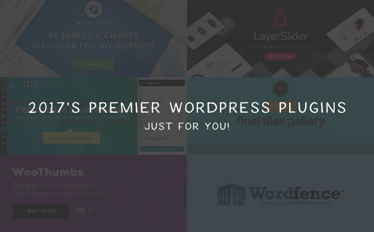 2017’s Premier WordPress Plugins – Just for You prem-wp-plugin-thumb