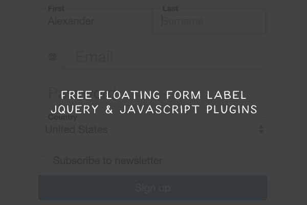 9 Floating Form Label jQuery & JavaScript Plugins form-label-thumb