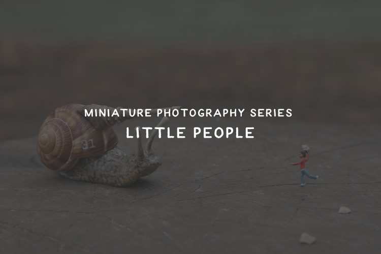 Beautiful Miniature Photography Gallery