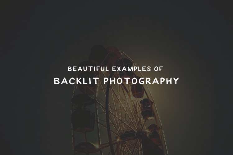 20 Fine Examples of Backlit Photography