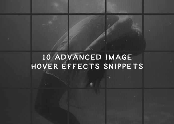10 Advanced Image Hover Effects with CSS & JavaScript