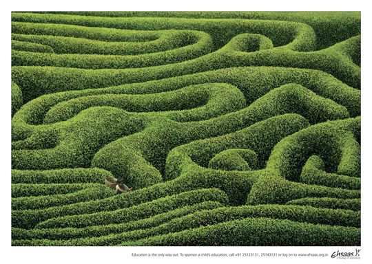 Public Awareness Print Ad 12 Print Ad - Tea Estate Maze