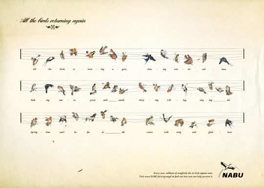 Public Awareness Print Ad 27 Print Ad - Captured Birds