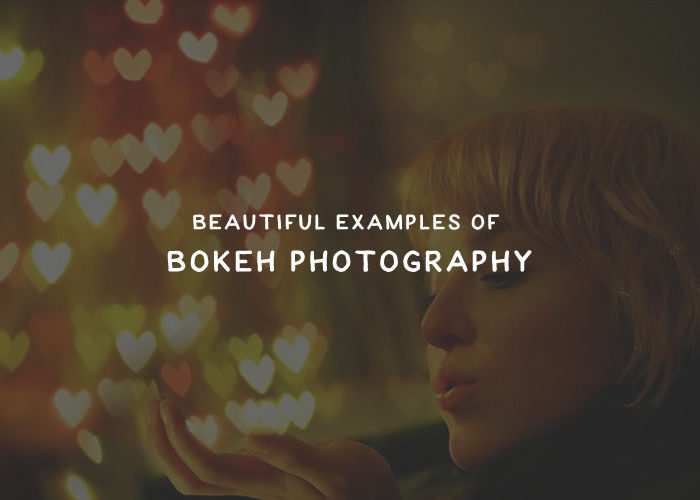 Bokeh Effect Speckyboy Design Magazine