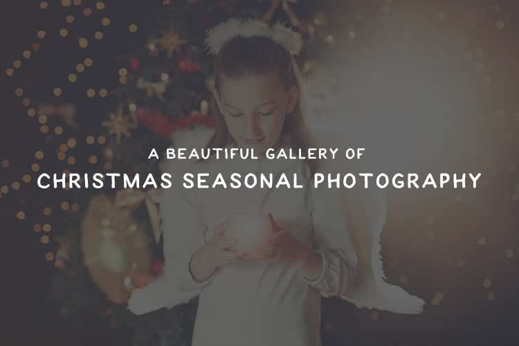 A Beautiful Gallery of Christmas Seasonal Photography