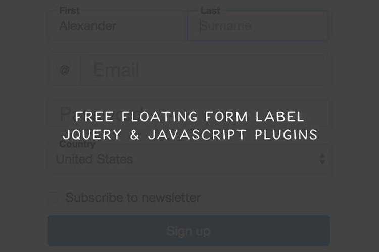 8 Free Floating Form Label jQuery & JavaScript Plugins