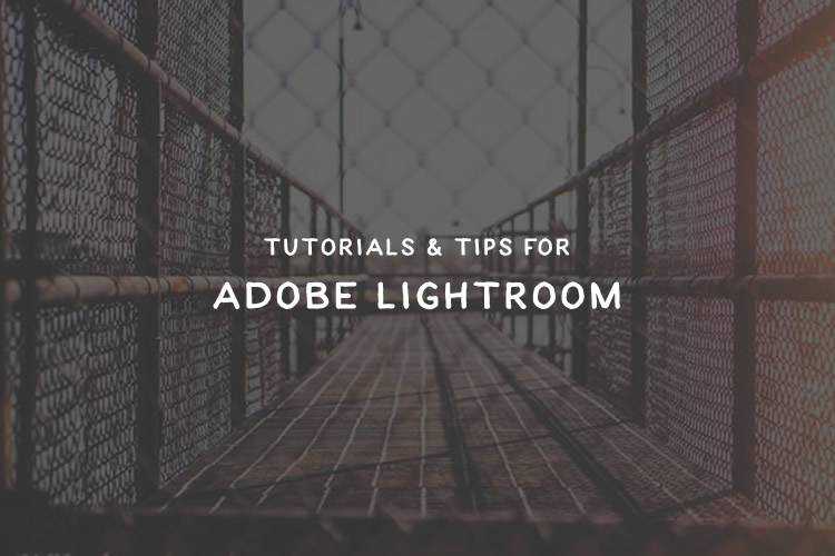 30 Essential Adobe Lightroom Tutorials & Tips lightroom-tuts-thumb2