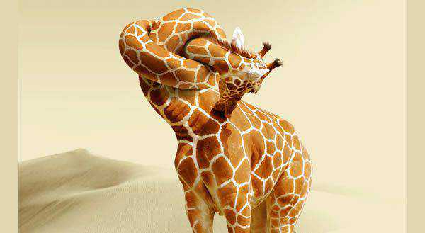 A Giraffe Neck Knot Tutorial