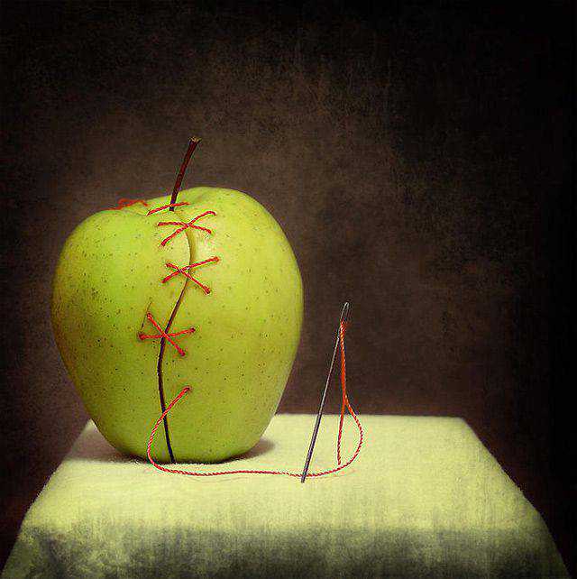  Still Life