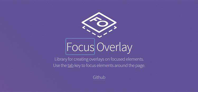 Focus Overlay