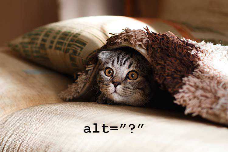 A Look at the Proper Usage of the alt Attribute alt-attribute-usage-thumb
