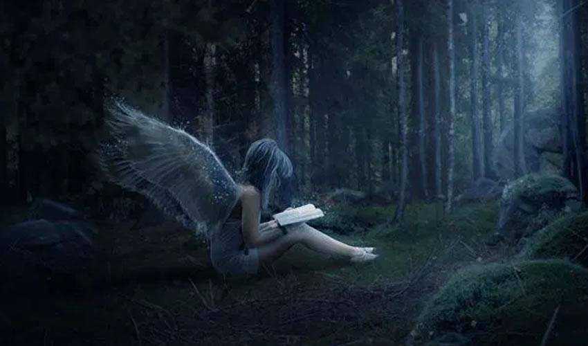 Create a Mystical Night Forest Scene with an Angel