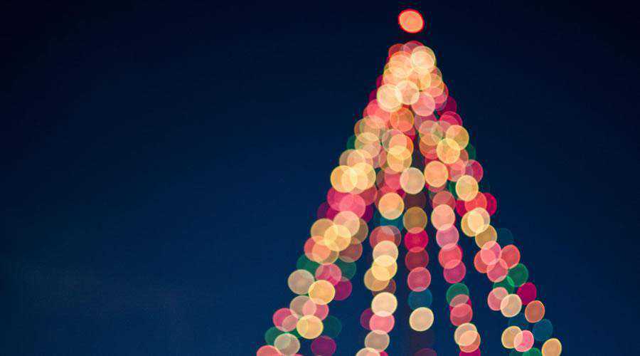 Multicolored Christmas Tree lights bokeh photography inspiration