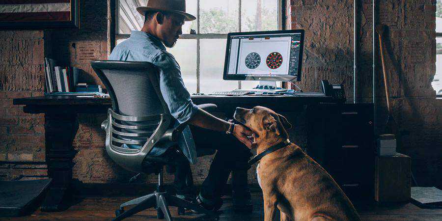 designer desk working dog client happy