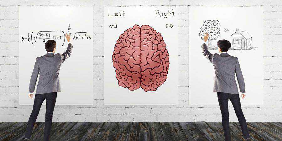 Left and Right Brain