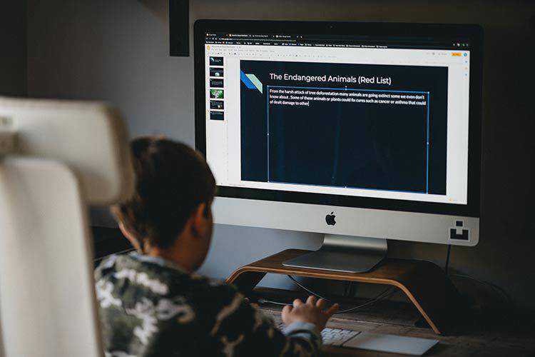 How the Web Kept the World Moving in 2020 web-essential-2020-thumb
