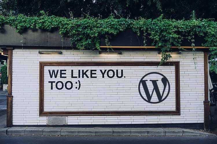 Thoughts on WordPress Achieving 40% Market Share