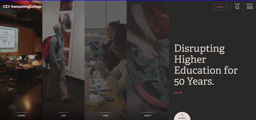 Hampshire University College Web Design Inspiration Clean