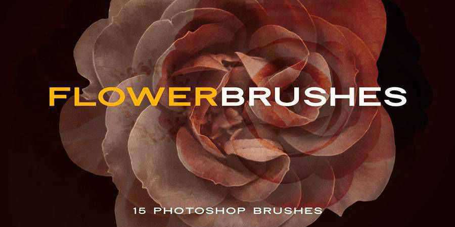 Elegant Flower free photoshop brushes ABR