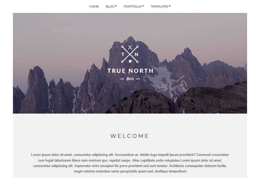 True North free wordpress theme wp responsive creative designer agency portfolio camera