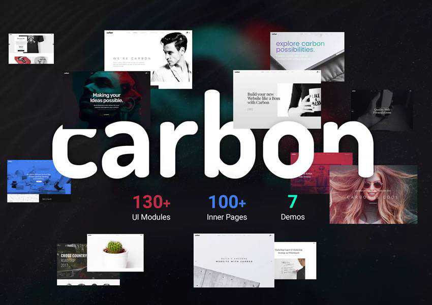 carbon wordpress theme photographer portfolio camera