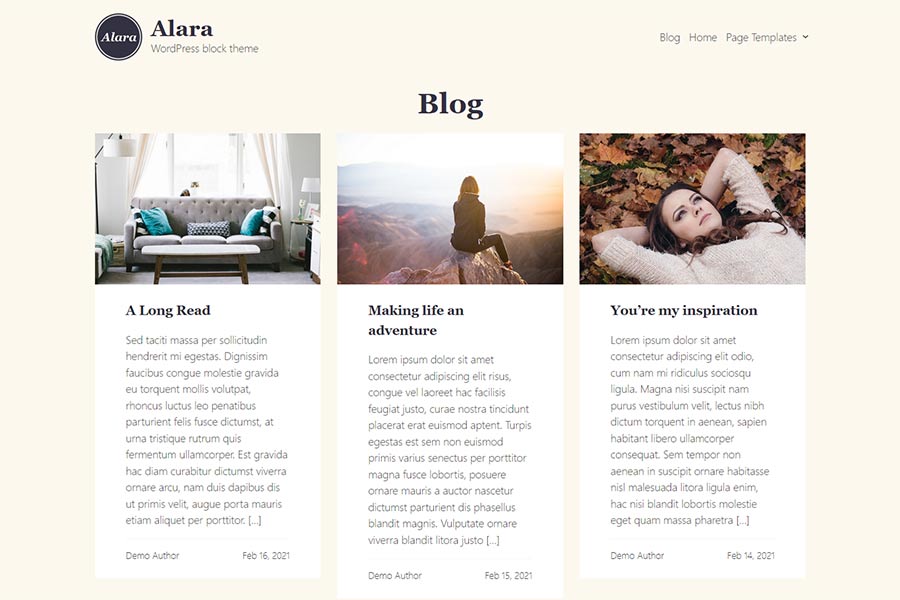 Alara WordPress Theme Preview