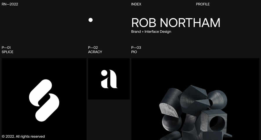 Portafolio de diseño gráfico web de inspiración de Robert Northam