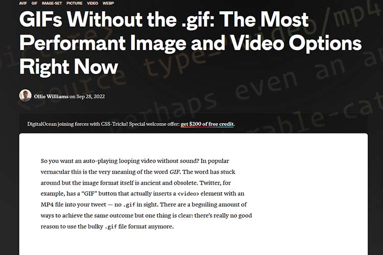 Example from GIFs Without the .gif: The Most Performant Image and Video Options Right Now