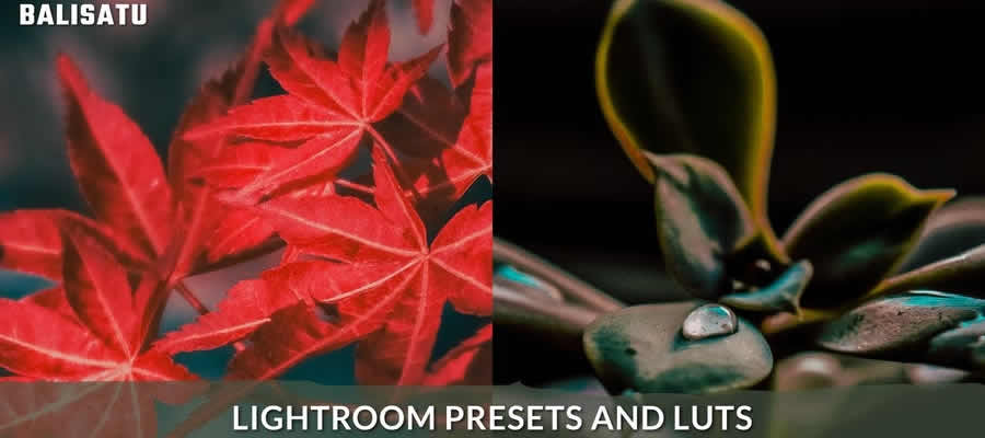 Fotografi Lightroom LUTs Moody Aesthetic Gratis
