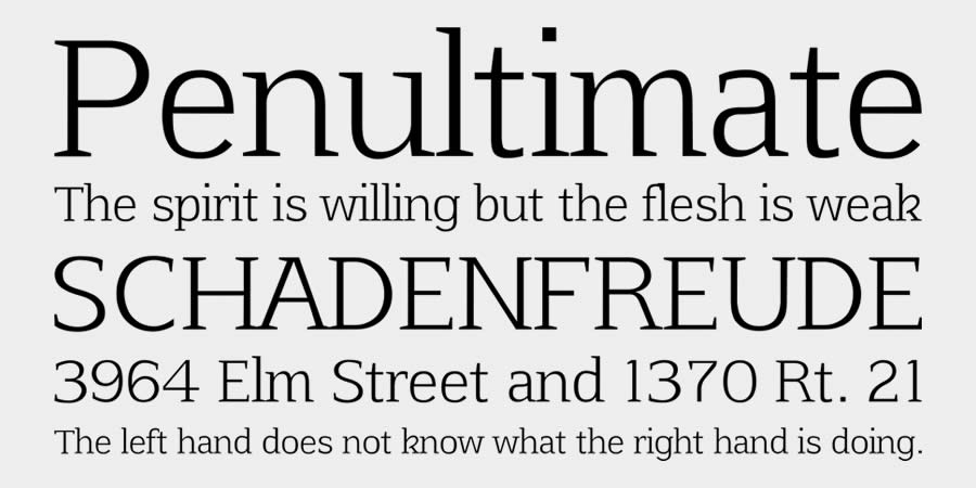 Afta is a top free serif font family for designers