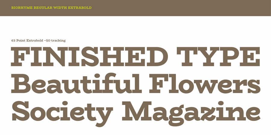 BioRhyme is a top free slab serif font family for designers