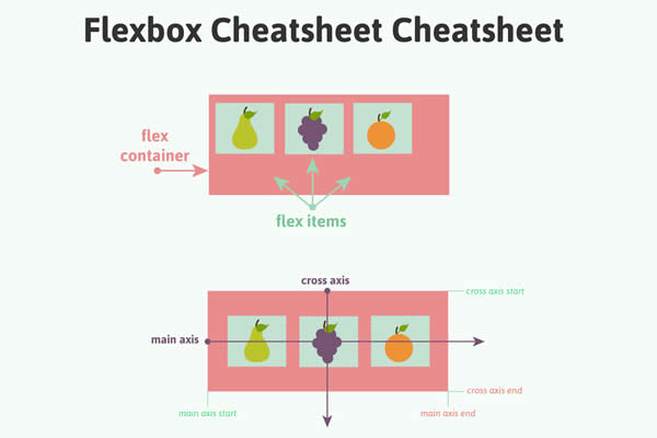A Field Guide to Flexbox